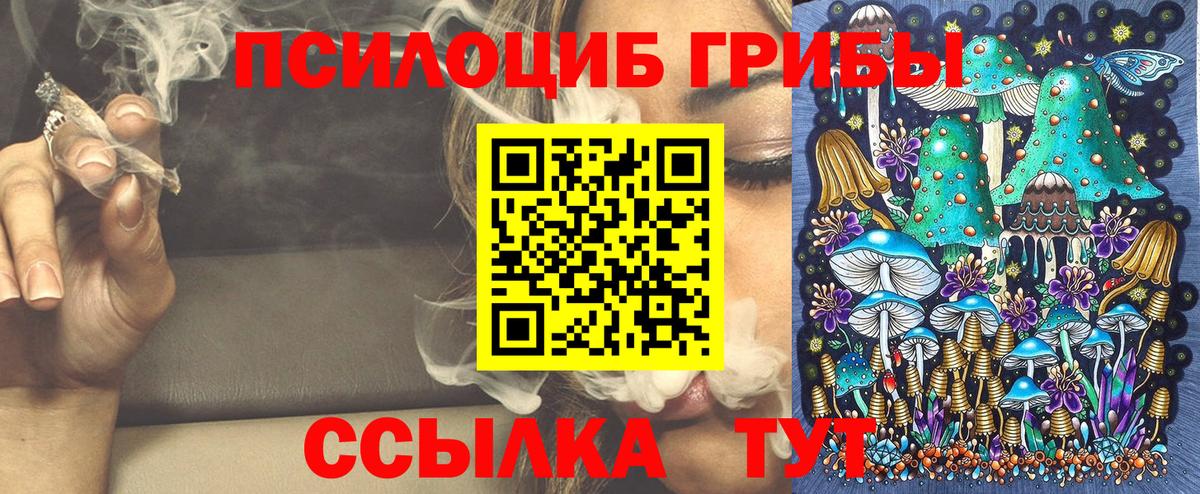 Лысьва  как найти наркотики  Галлюциногенные грибы Psilocybine cubensis  Вход с VPN  Галлюциногенные грибы Psilocybine cubensis 