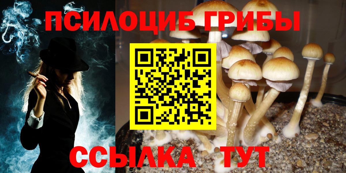 Галлюциногенные грибы мухоморы Лысьва